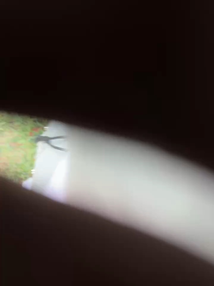 Yay