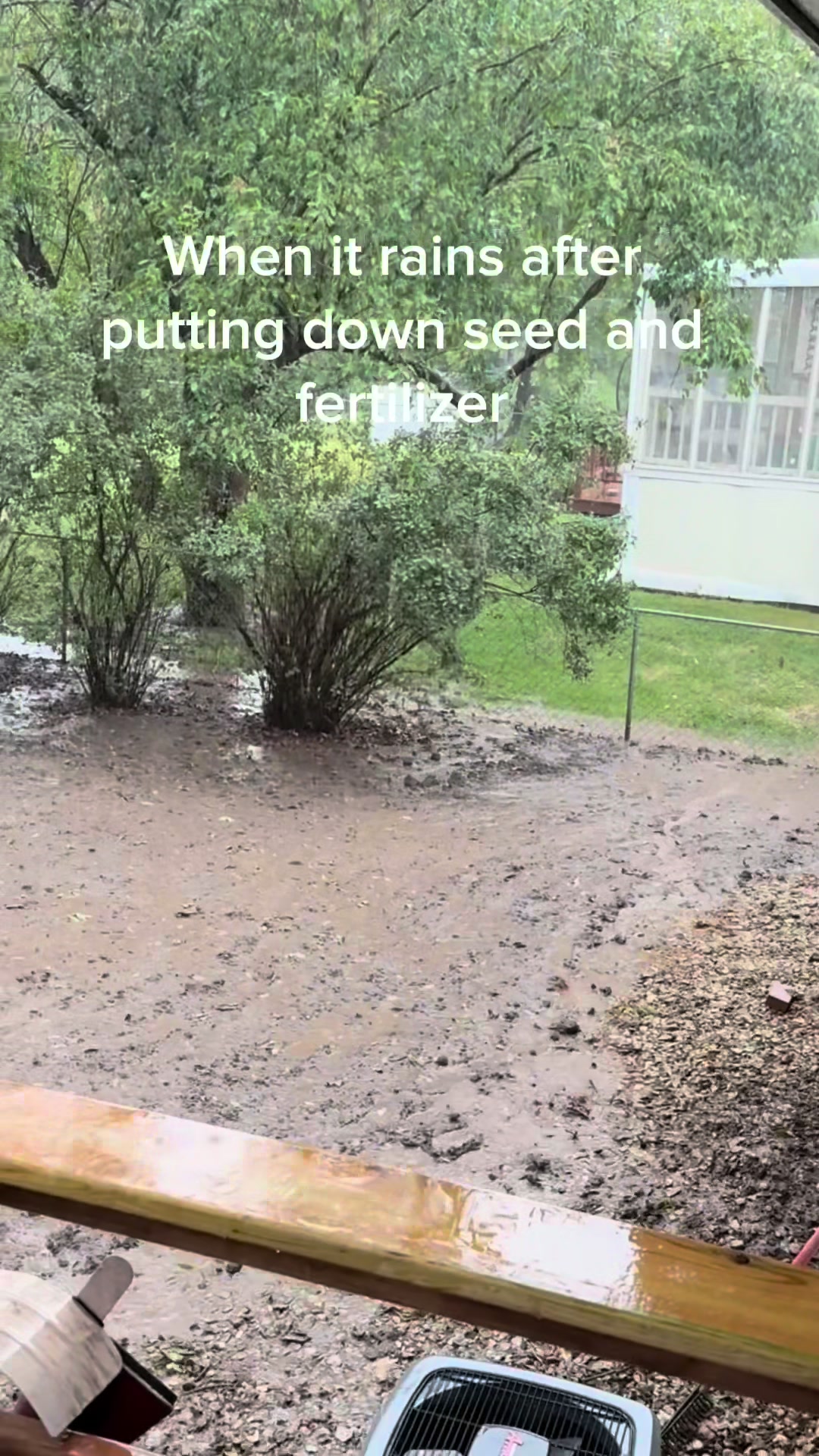 Come on baby, work that magic! #CapCut #rain #grass #lawntok