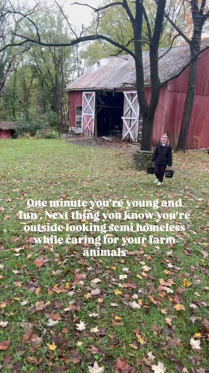 Farm life