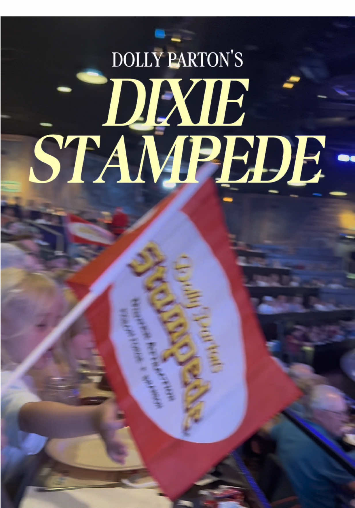 We had the best time ever at @dollysstampede 🤠🏇✨ HIGHLY recommend this as a family event if you're in the area!! #t...
