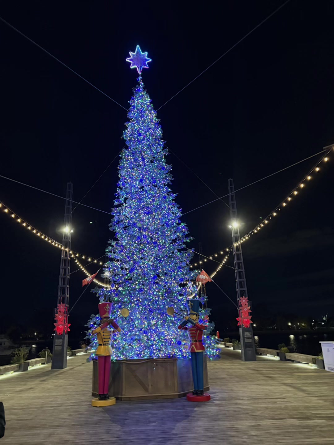 Such a great time at the Wharf, DC 🎁🎅🏽 #wharfDC #iceskating