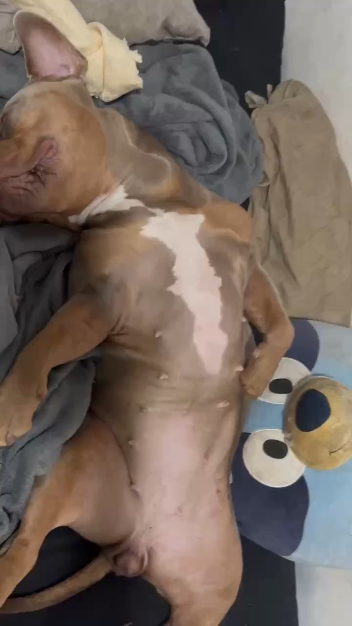 Snoring is entertaining