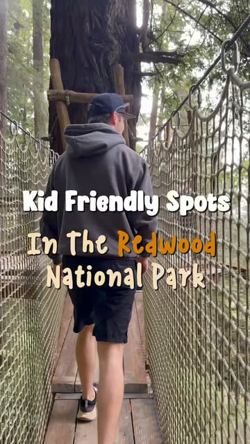 5 of our favorite toddler friendly spots in The Redwood National Park 🌲🪾