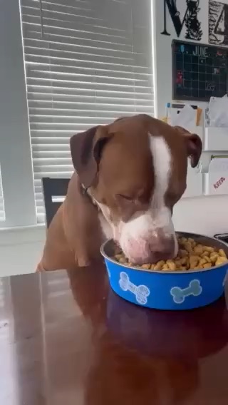 Finn eating at the table