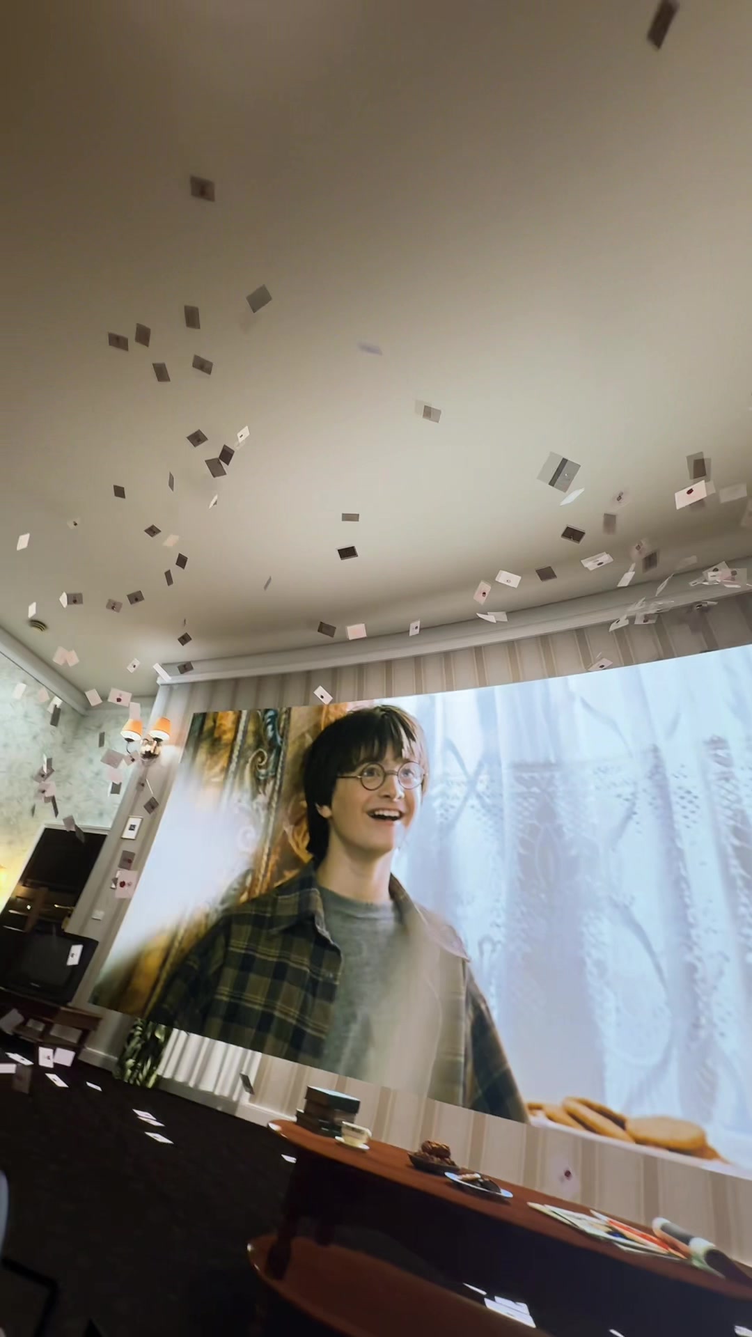 Harry Potter Experience