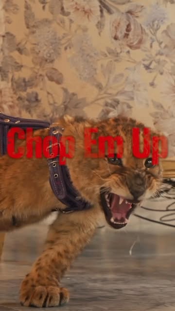 ¡ESTRENO! ¡ESTRENO! ¡ESTRENO! Chop Em Up Ft. @faruzfeet & @el.conejo.oficial https://youtu.be/mYSonojmNn4 Pagina ofic...