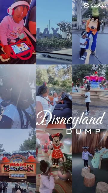 Disneyland Dump. A time was had 🥰🐭 #disneyland #losángeles #california #Disney #toddler #toddlerlife #travel #famil...