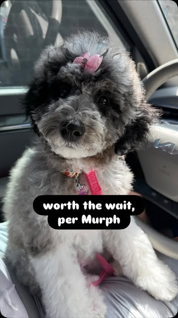 1 hour. He checked every room 400 times. She went to the groomer, not on tour. You’d never know it from the reunion....