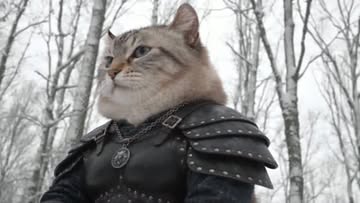 Nine lives. Zero patience. #NeoTheWitcher #CatWitcher #FantasyCat #AICat #AIVideo