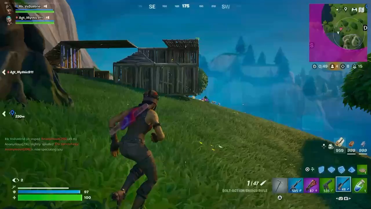 Fortnite Win