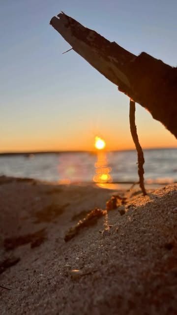 Some random photos from camping