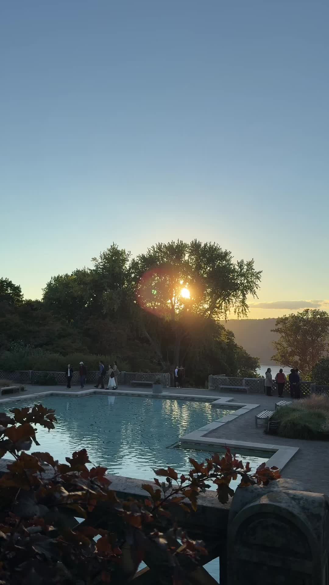 🤎🍂 #nyc