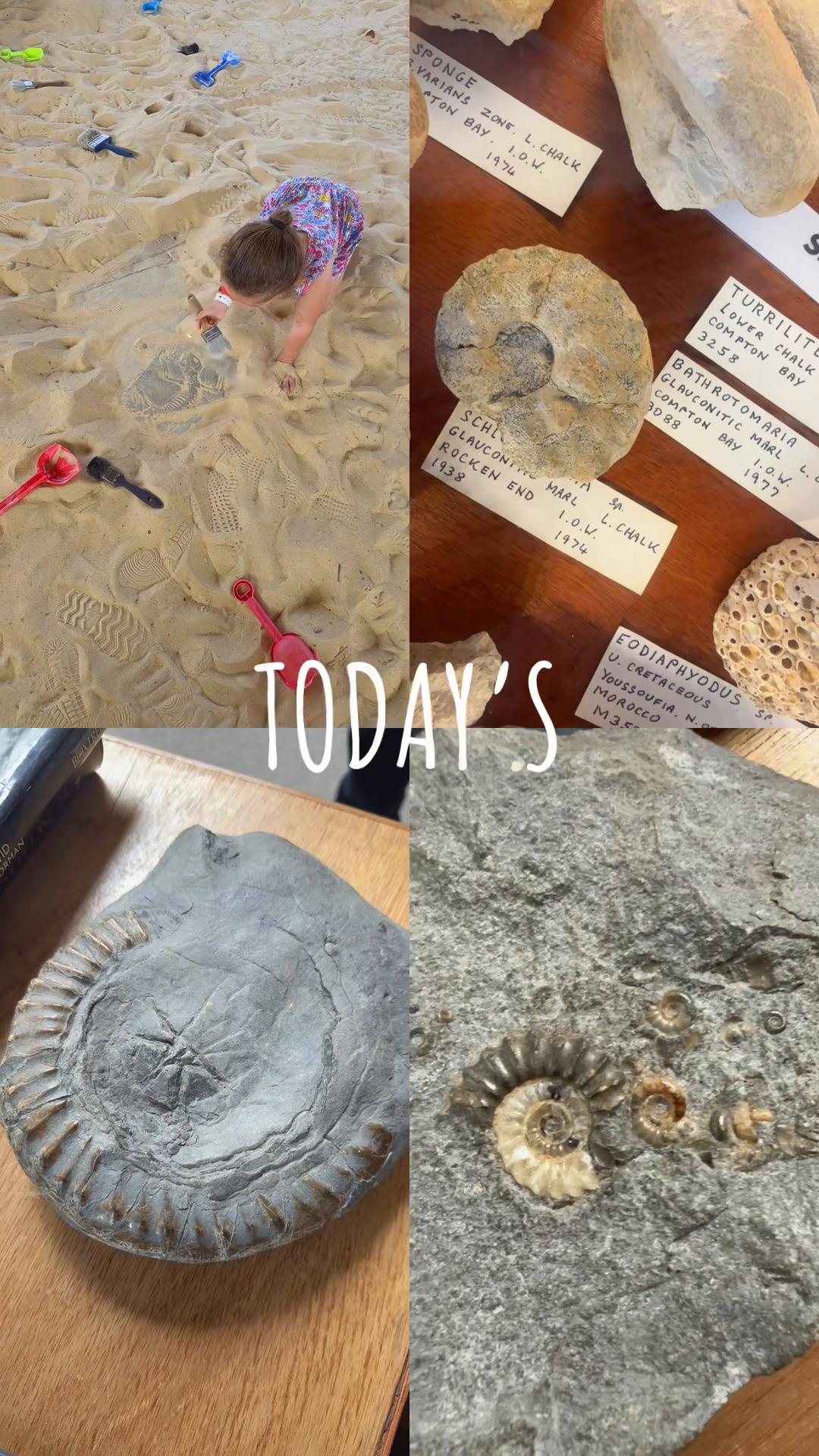 @Jurassic Discovery 💜 #FYP #backtoit #workfromanywhere #workfromhome #travelagent