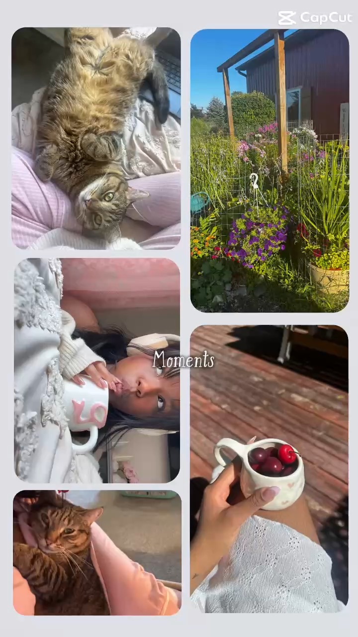 Pretty little moments🌷