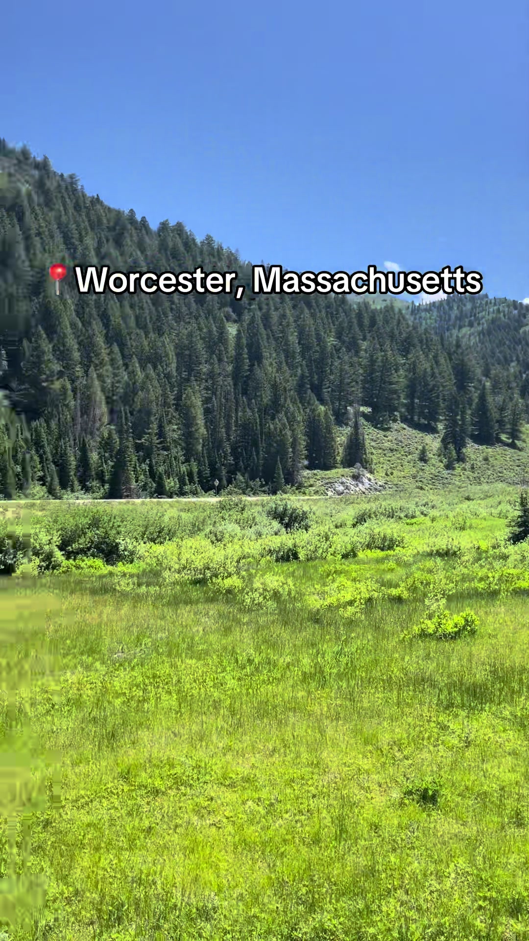 The Woo if you will #worcester