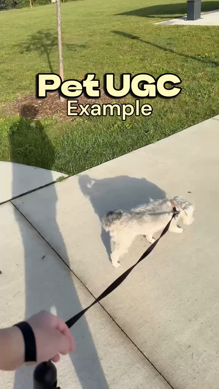 Pet UGC Example