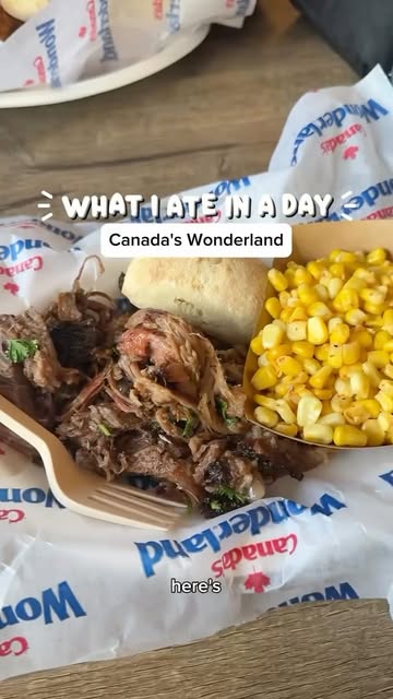 Ngl I was shocked by the Pizza Pizza prices 🫣 Here's everything I had at Canada's Wonderland 🎢 #summerthings #canad...
