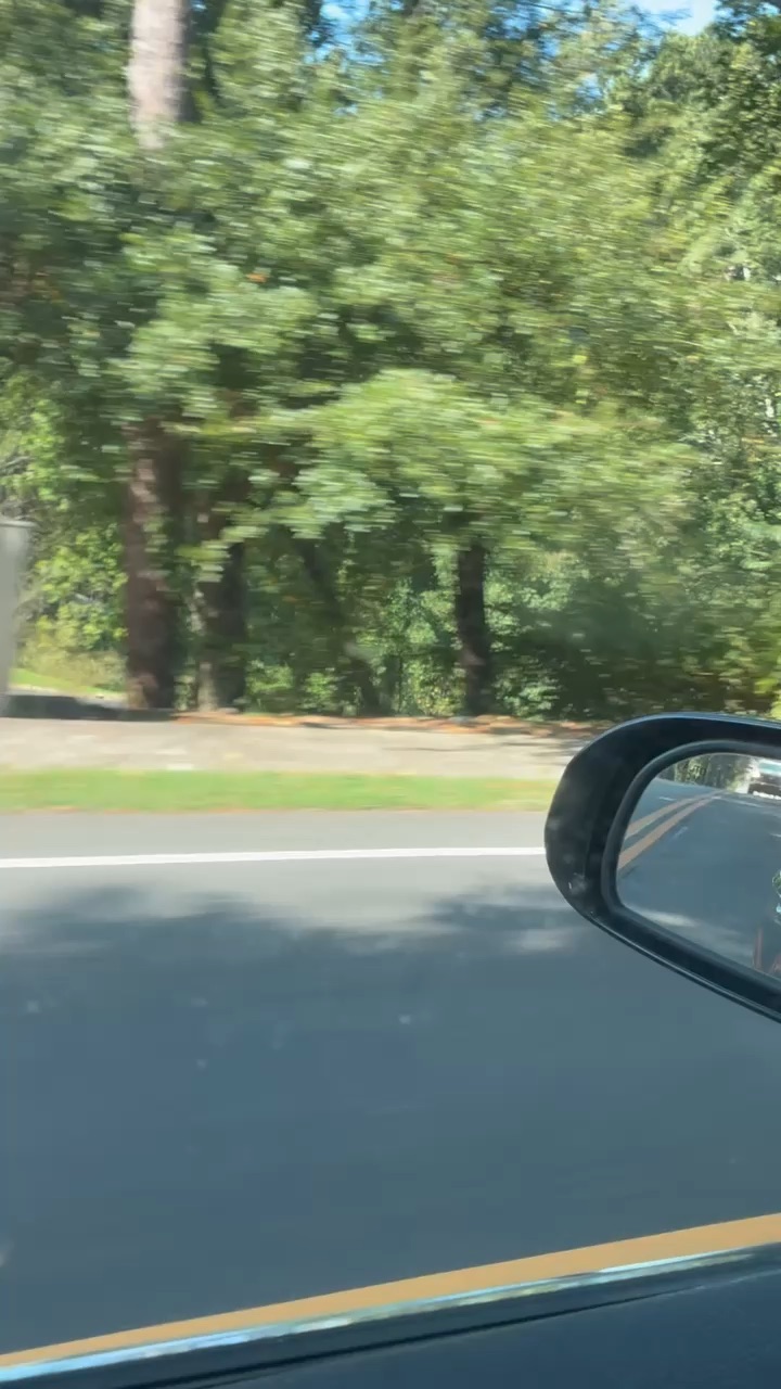 Hair vlog