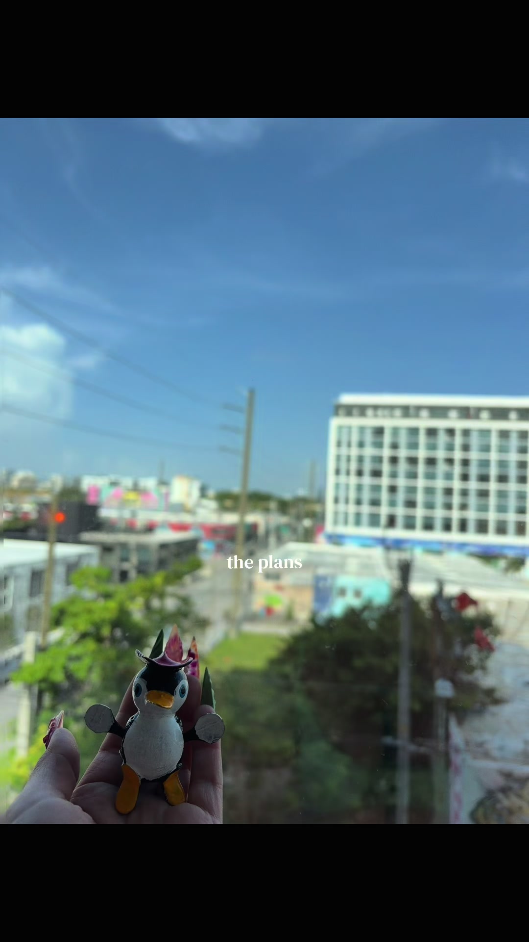 Paquita had an amazing time with the gurlssss okkkkk #miami #girlstrip #fyp 🐧🤠