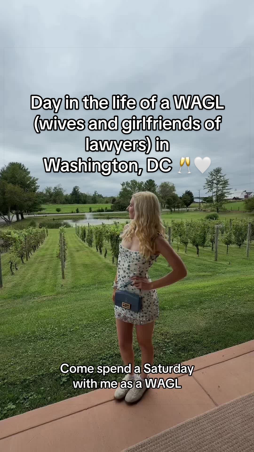 Day in the life as a WAGL (wives and girlfriends of lawyers) in Washington, DC featuring a trip to a sparkling vineya...